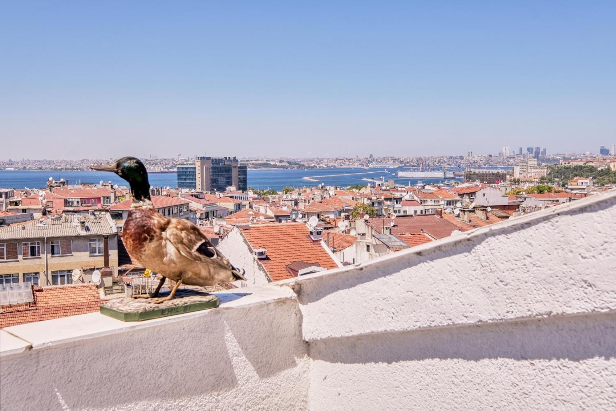 Duck Otel Истанбул Екстериор снимка